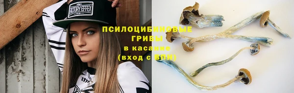 таблы Армянск
