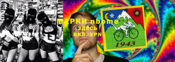 МДПВ Пересвет