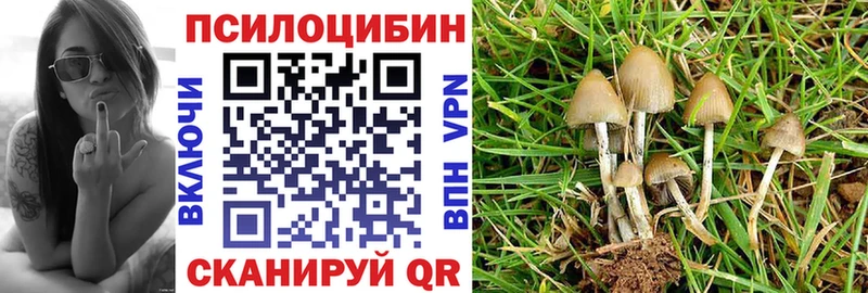 Псилоцибиновые грибы Cubensis  Чудово 